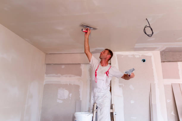 Best Residential Painting  in Gumlog, GA